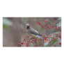 Birds Custom Photo Card