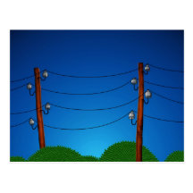 Birds Post Card