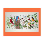 Birds Post Card