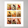 Birds Print