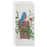 Birds Full Color Rack Card