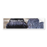 Birds Ravens Feathers Black Bumper Stickers