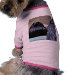 Birds Ravens Feathers Black Dog Tee Shirt