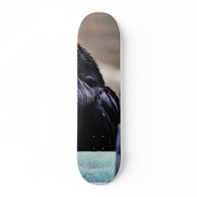 Birds Ravens Feathers Black Skate Decks by lifesphere