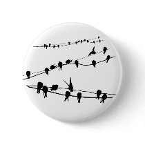 Birds Relaxing w Pin