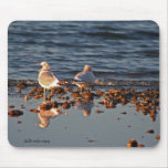 Birds Singing & Reflecting Mouse Pads