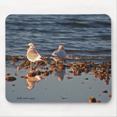 Birds Singing & Reflecting Mouse Pads by dtigger222Star