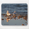 Birds Singing & Reflecting mousepads