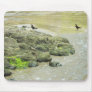 Birds strolling at Tamarindo Beach, Costa Rica Mousepad