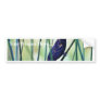 Birds Swamps Bumper Stickers