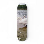 Birds Swans In Tikvara Lake Skate Deck