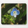 Birdseye Speedwell Mousepad