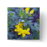 Birdsfoot Trefoil 1 Button