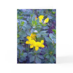 Birdsfoot Trefoil 1 Greeting Card