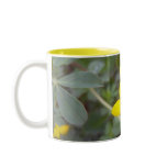 Birdsfoot Trefoil 2 Mug