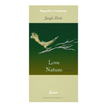 Birdsketch 02 photo card template