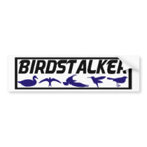 Birdstalker