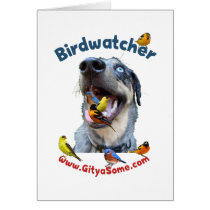 Birdwatcher Dog Greeting Cards
