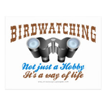 Birdwatching Postcard