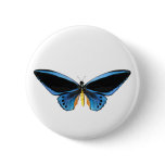 Birdwing Butterfly Pin