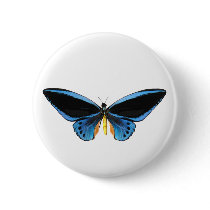 Birdwing Butterfly Pin