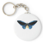 Birdwing Butterfly Key Chain