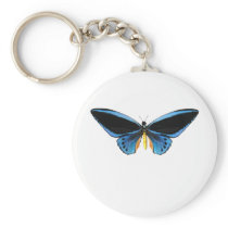 Birdwing Butterfly Key Chain