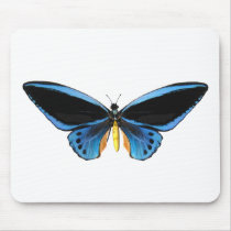 Birdwing Butterfly Mousepads