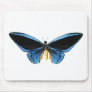 Birdwing Butterfly Mousepads