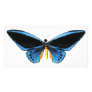 Birdwing Butterfly Photo Cards