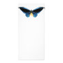 Birdwing Butterfly Full Color Rack Card