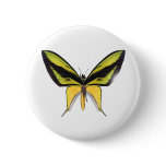 BirdWingX Butterfly Pinback Button