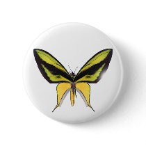 BirdWingX Butterfly Button
