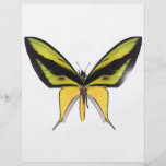 BirdWingX Butterfly Flyers