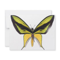 BirdWingX Butterfly Invites