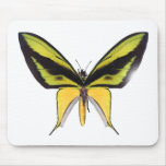 BirdWingX Butterfly Mousepad