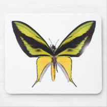 BirdWingX Butterfly Mousepad