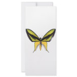 BirdWingX Butterfly Full Color Rack Card