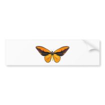 BirdWingY Butterfly Bumper Stickers