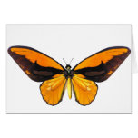 BirdWingY Butterfly Card