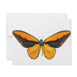 BirdWingY Butterfly Personalized Announcements
