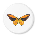 BirdWingY Butterfly Fridge Magnet