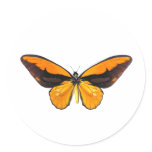 BirdWingY Butterfly Round Sticker