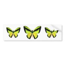 BirdWingZ Butterfly Bumper Sticker