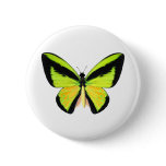 BirdWingZ Butterfly Pins