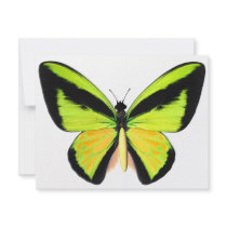 BirdWingZ Butterfly Invitations