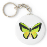 BirdWingZ Butterfly Key Chain