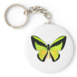 BirdWingZ Butterfly Key Chain