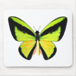 BirdWingZ Butterfly Mouse Pads