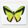 BirdWingZ Butterfly Mouse Pads